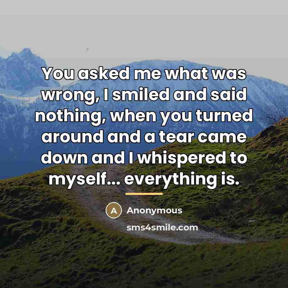 “You asked me what was wrong, I smiled and said…” quote by Anonymous
