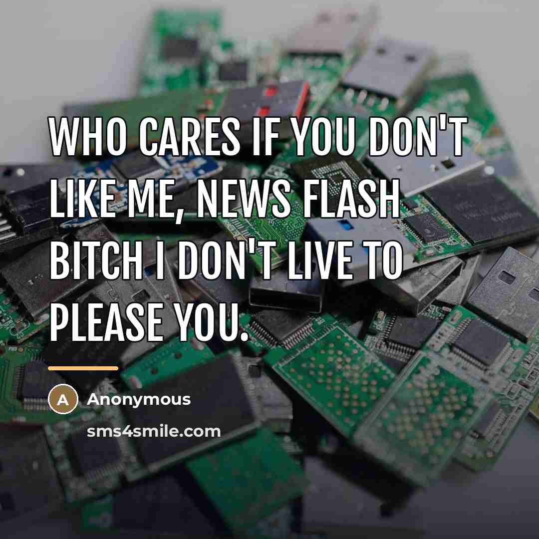 “Who cares if you don't like me, NEWS FLASH BITCH…” quote by Anonymous