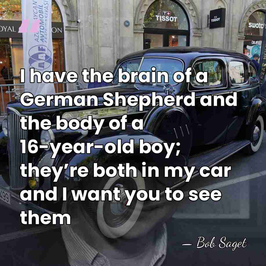 I have the brain of a German Shepherd and the body of&hellip; - Bob Saget