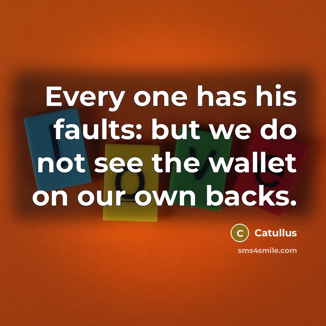 “Every one has his faults: but we do not see the wallet on our own backs.” quote by Catullus