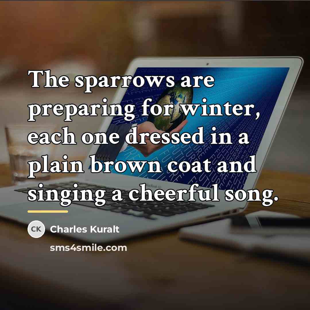 “The sparrows are preparing for winter, each one dressed in…” quote by Charles Kuralt