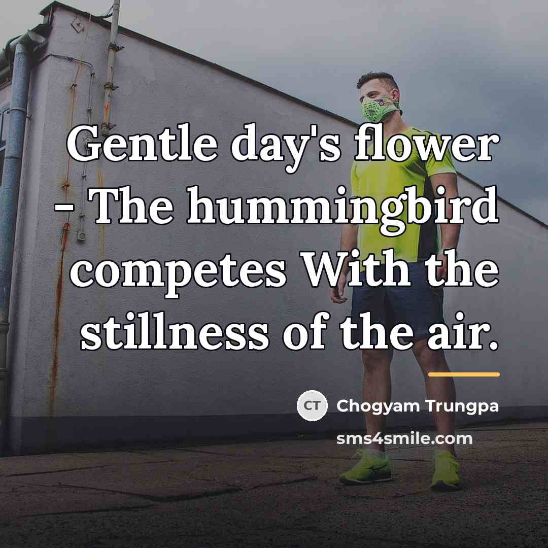 “Gentle day's flower - The hummingbird competes With the stillness…” quote by Chogyam Trungpa