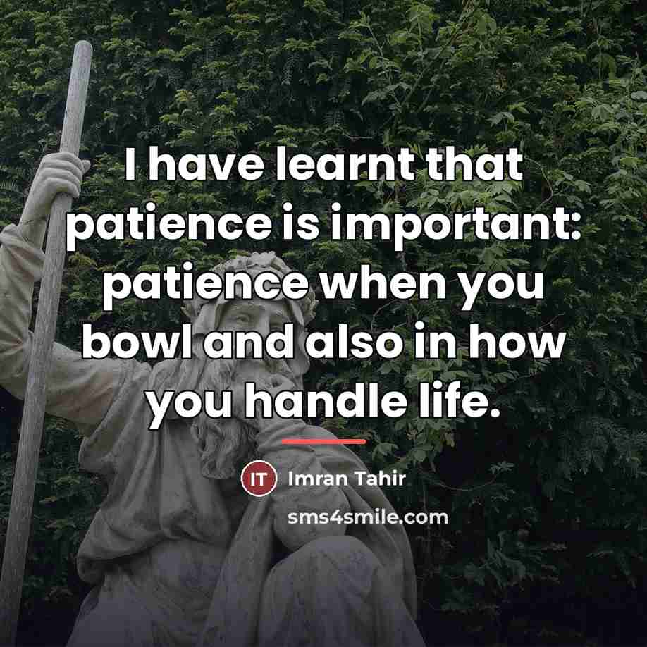 “I have learnt that patience is important: patience when you…” quote by Imran Tahir
