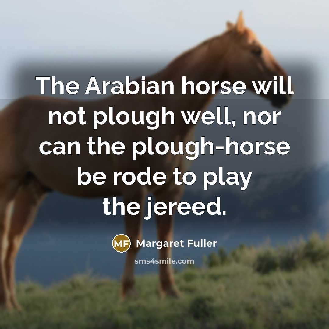 “The Arabian horse will not plough well, nor can the…” quote by Margaret Fuller