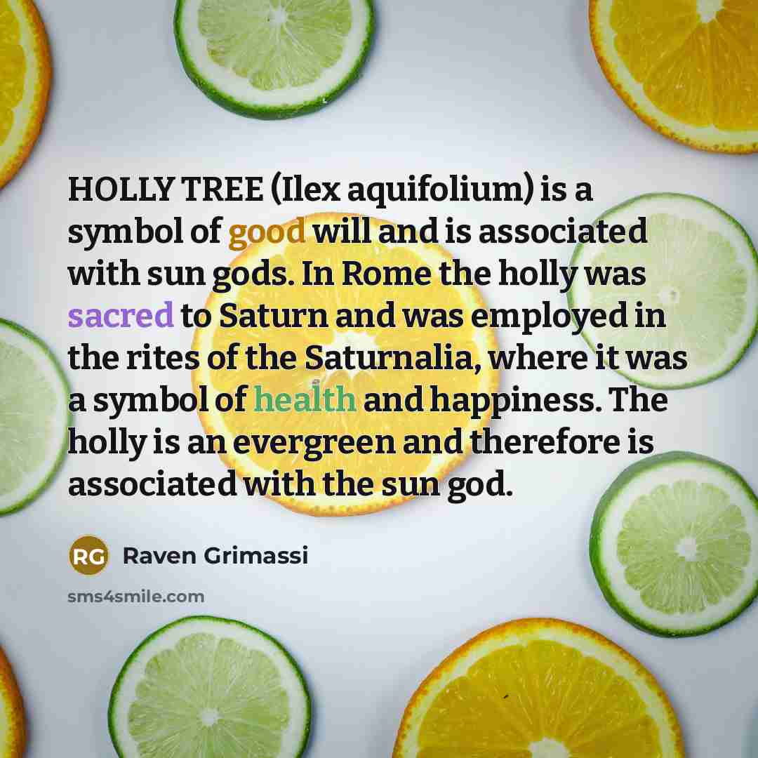 “HOLLY TREE (Ilex aquifolium) is a symbol of good will…” quote by Raven Grimassi