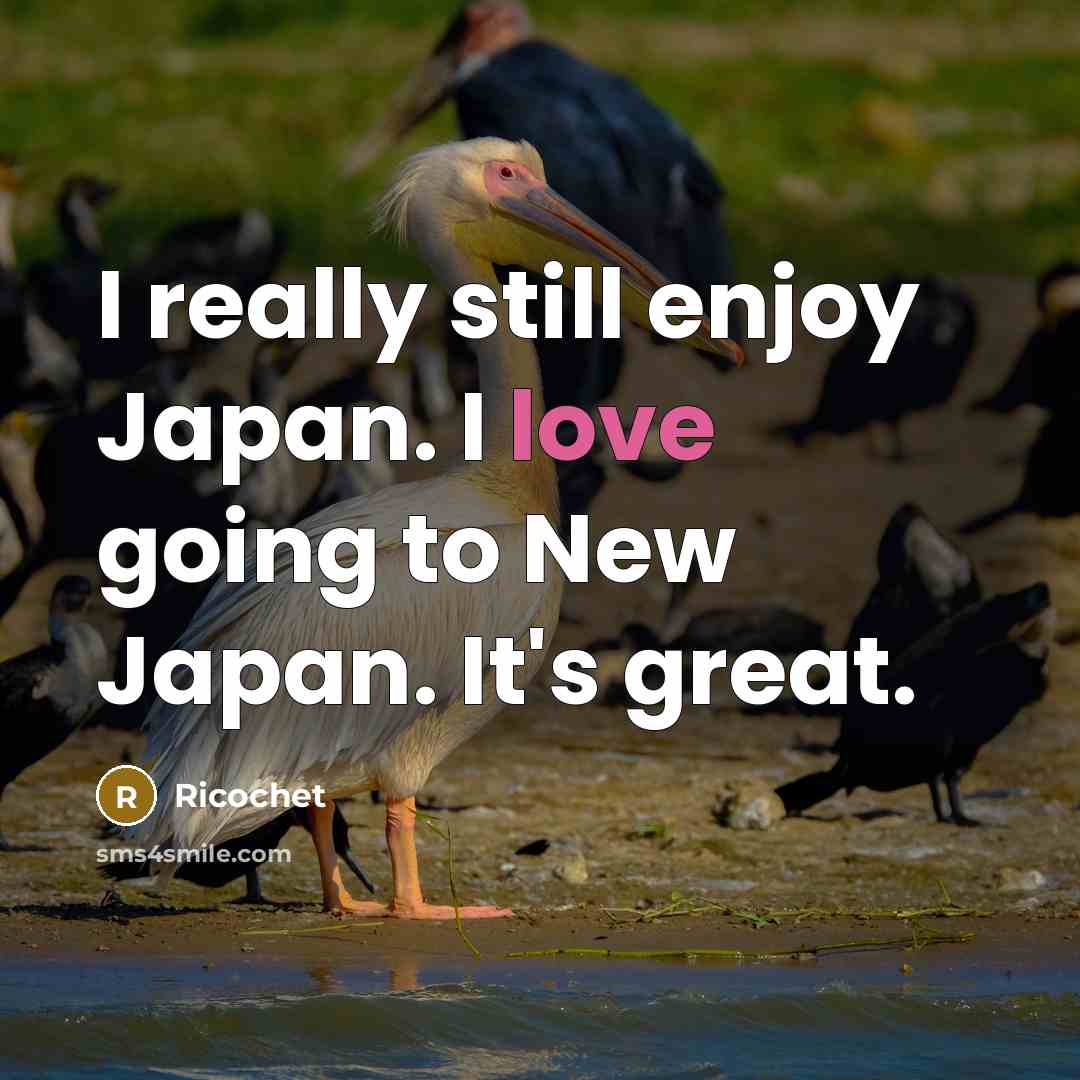 “I really still enjoy Japan. I love going to New…” quote by Ricochet