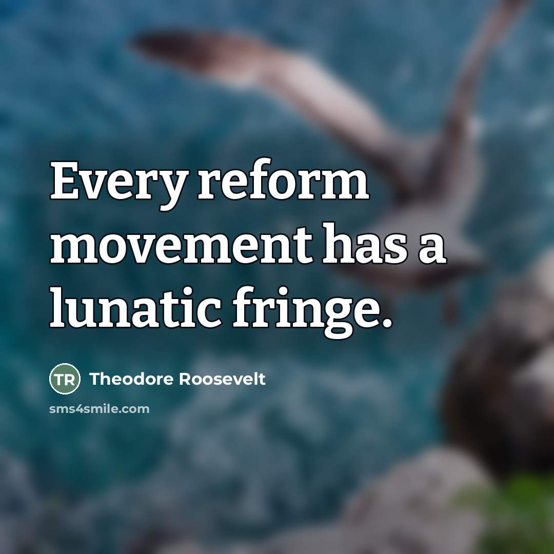 “Every reform movement has a lunatic fringe.…” quote by Theodore Roosevelt