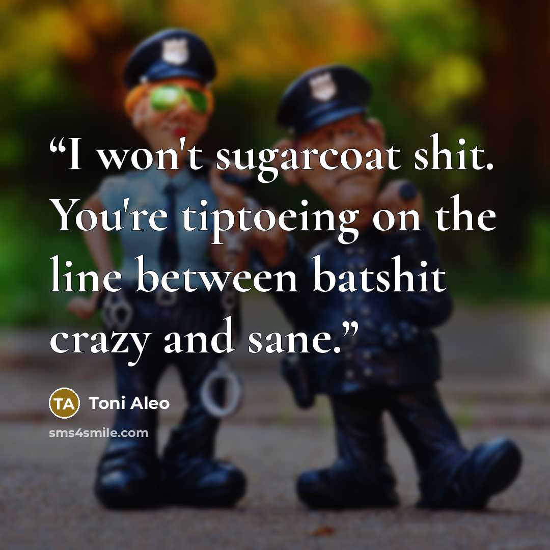 “I won't sugarcoat shit. You're tiptoeing on the line between batshit crazy and sane.” quote by Toni Aleo