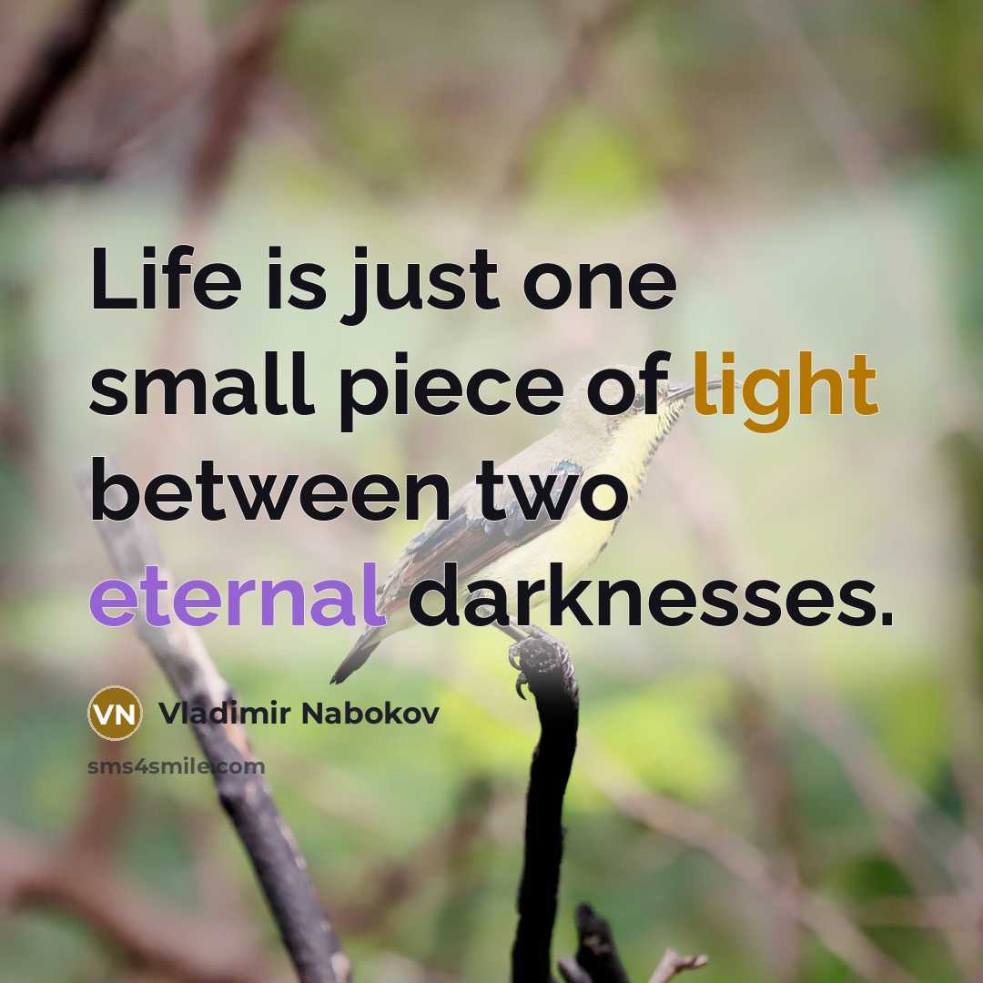 “Life is just one small piece of light between two…” quote by Vladimir Nabokov