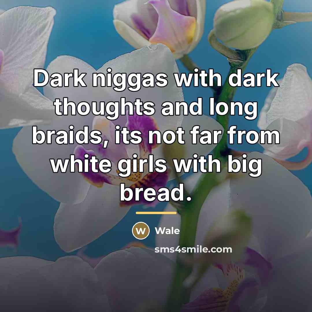 “Dark niggas with dark thoughts and long braids, its not…” quote by Wale