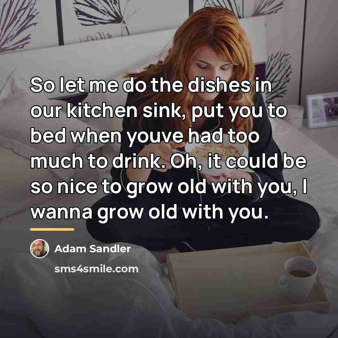 “So let me do the dishes in our kitchen sink,…” quote by Adam Sandler