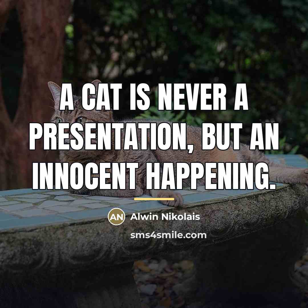 “A cat is never a presentation, but an innocent happening.…” quote by Alwin Nikolais