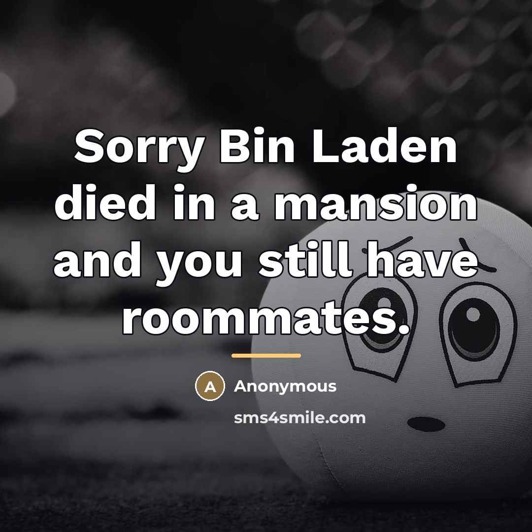 “Sorry Bin Laden died in a mansion and you still…” quote by Anonymous