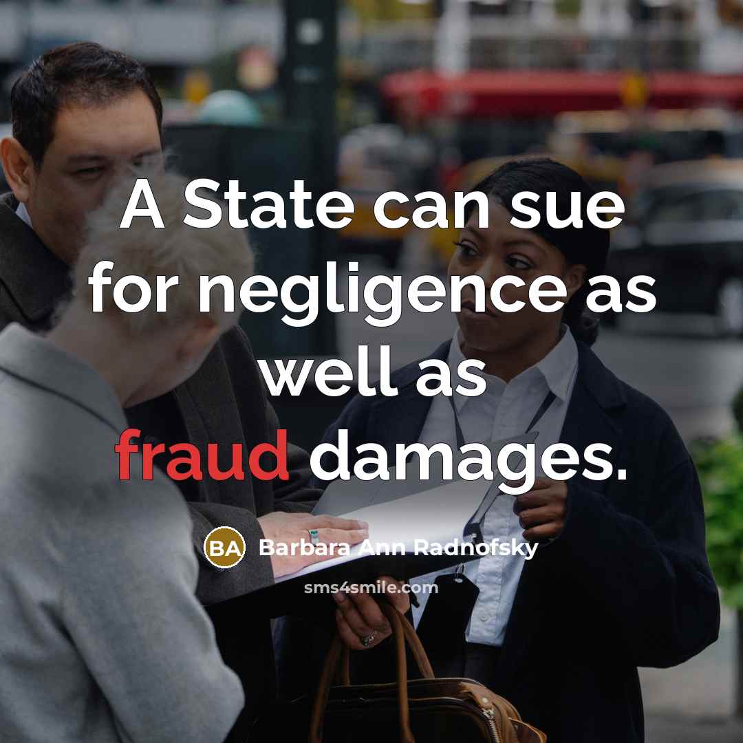 “A State can sue for negligence as well as fraud…” quote by Barbara Ann Radnofsky