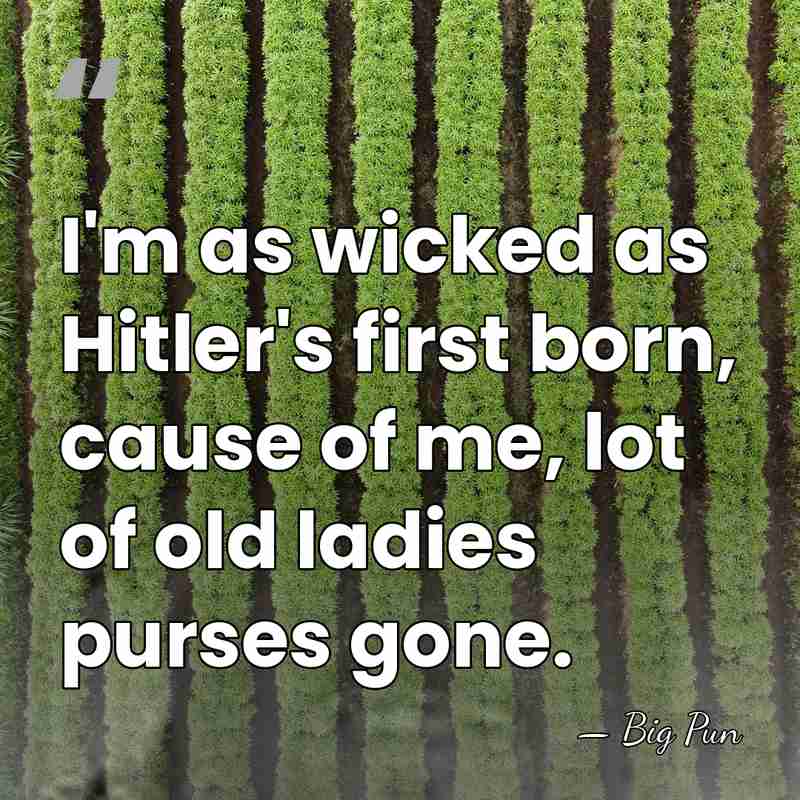 I'm as wicked as Hitler's first born, cause of me, lot of&hellip; - Big Pun