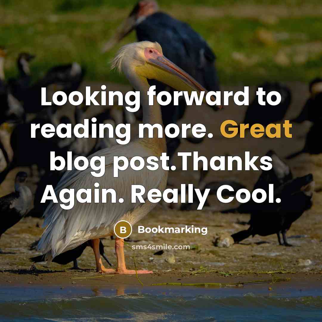 “Looking forward to reading more. Great blog post.Thanks Again. Really Cool.” quote by Bookmarking