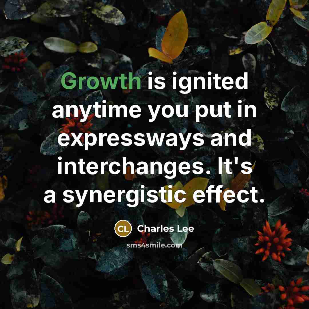 “Growth is ignited anytime you put in expressways and interchanges.…” quote by Charles Lee