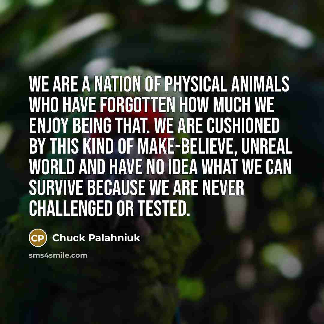 “We are a nation of physical animals who have forgotten…” quote by Chuck Palahniuk