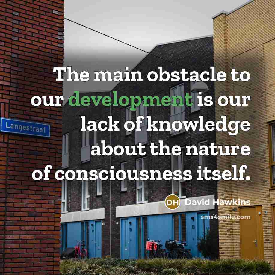 “The main obstacle to our development is our lack of…” quote by David Hawkins