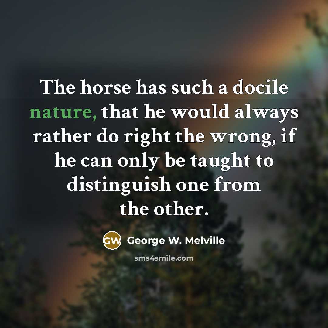 “The horse has such a docile nature, that he would…” quote by George W. Melville