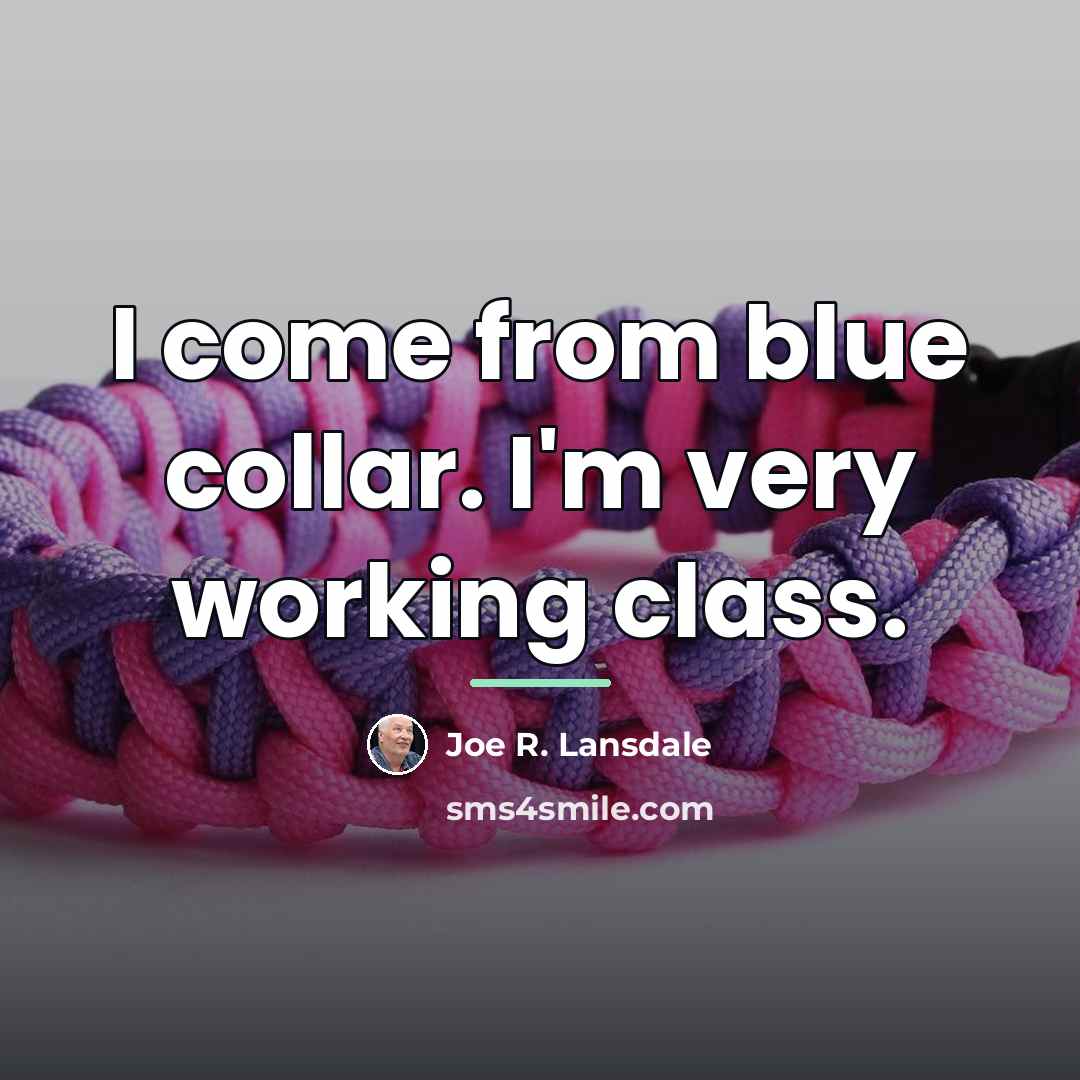 “I come from blue collar. I'm very working class.…” quote by Joe R. Lansdale