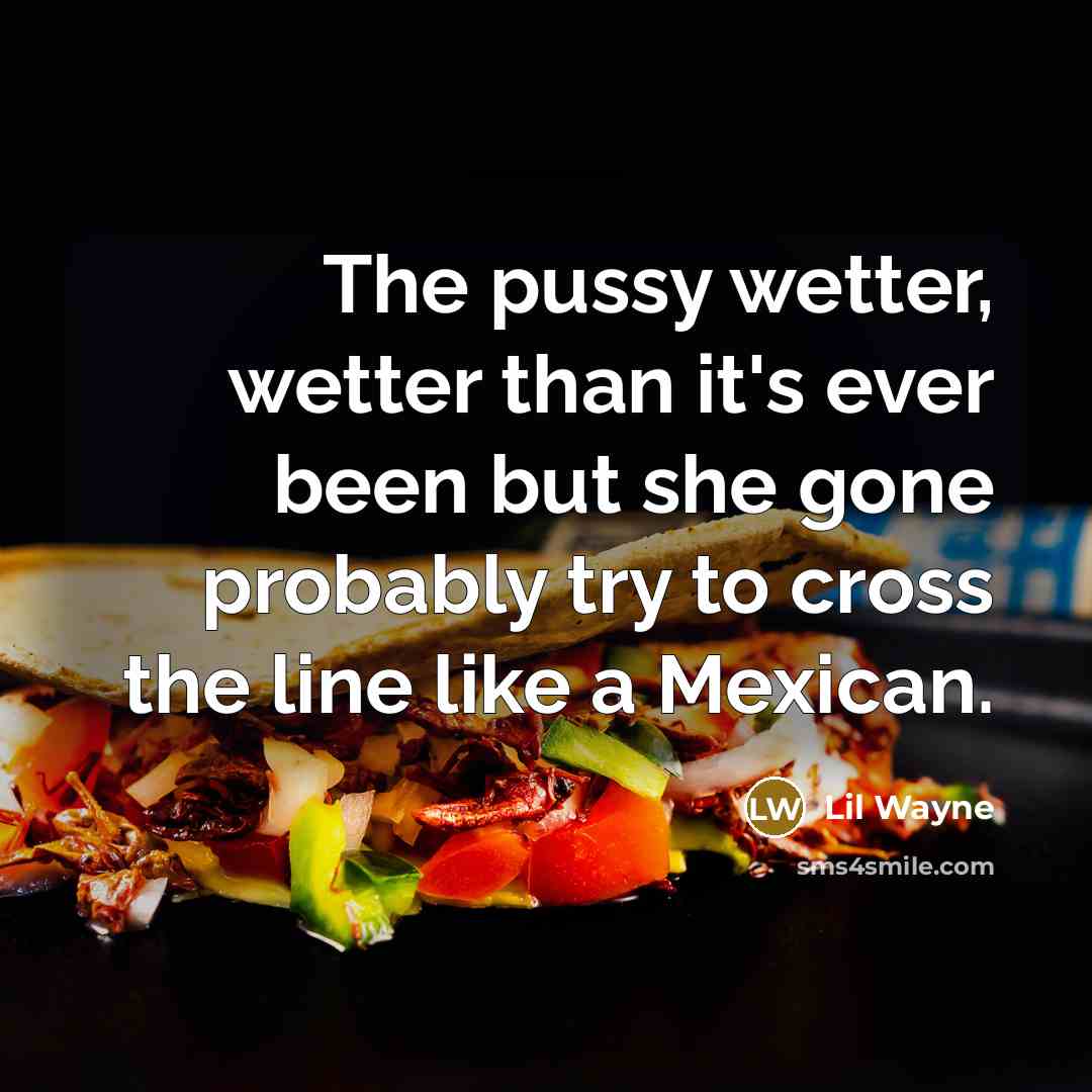 “The pussy wetter, wetter than it's ever been but she…” quote by Lil Wayne