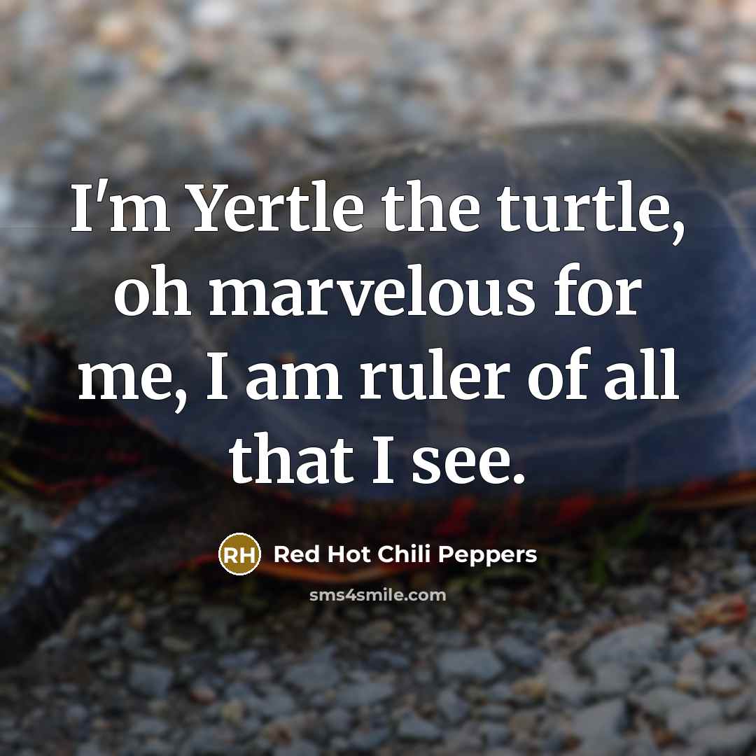 “I'm Yertle the turtle, oh marvelous for me, I am ruler of all that I see.” quote by Red Hot Chili Peppers