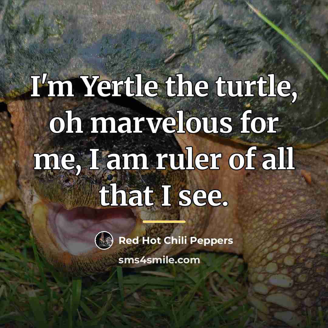 “I'm Yertle the turtle, oh marvelous for me, I am…” quote by Red Hot Chili Peppers