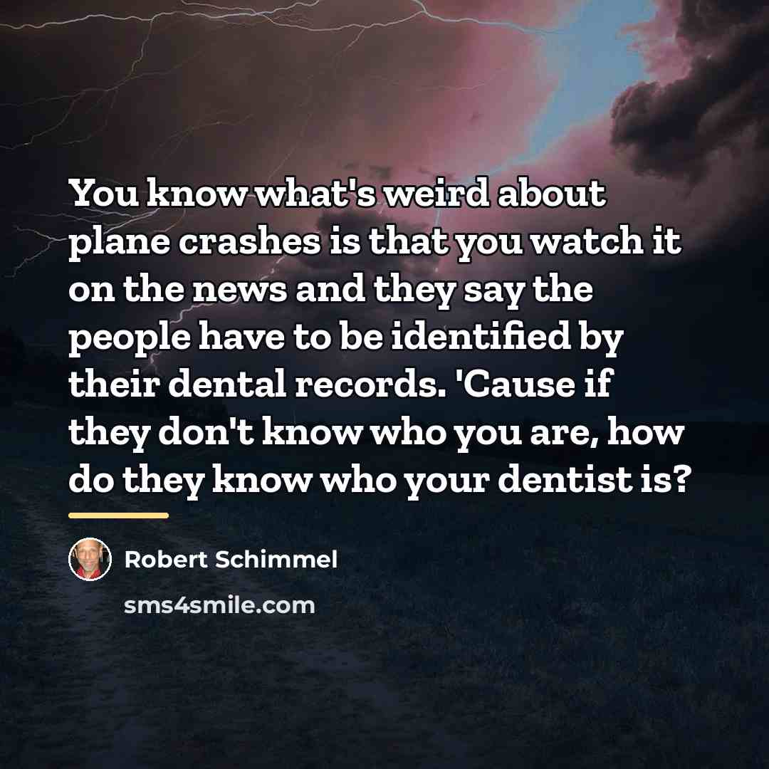 “You know what's weird about plane crashes is that you…” quote by Robert Schimmel