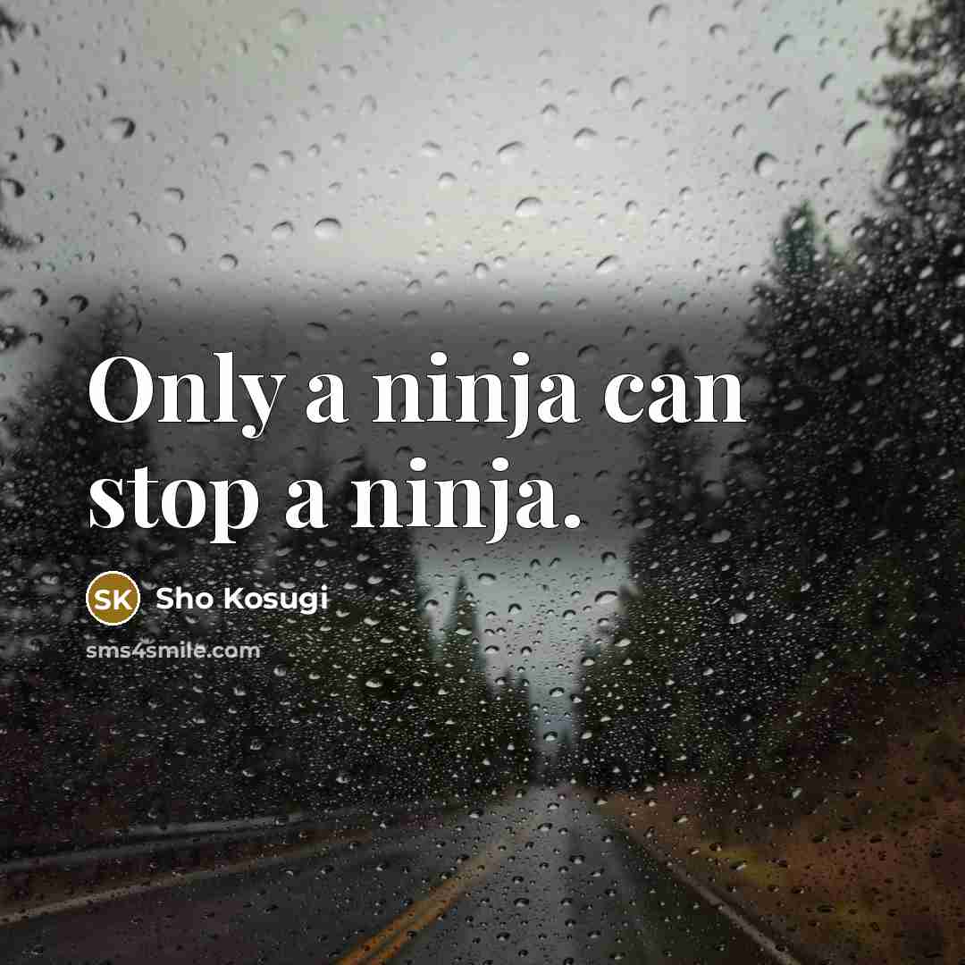 “Only a ninja can stop a ninja.…” quote by Sho Kosugi
