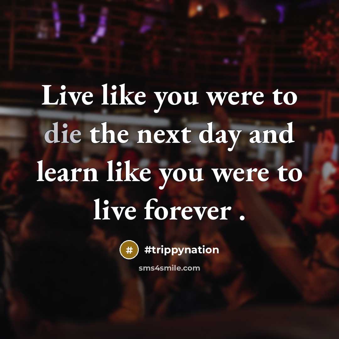 “Live like you were to die the next day and…” quote by #trippynation