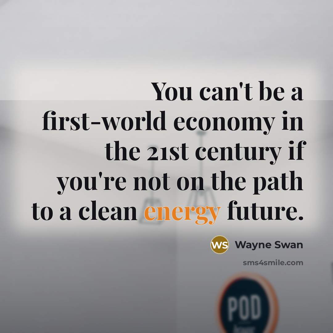 “You can't be a first-world economy in the 21st century…” quote by Wayne Swan