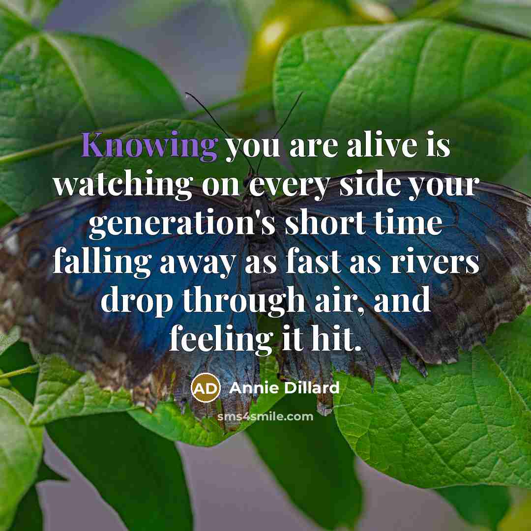“Knowing you are alive is watching on every side your…” quote by Annie Dillard