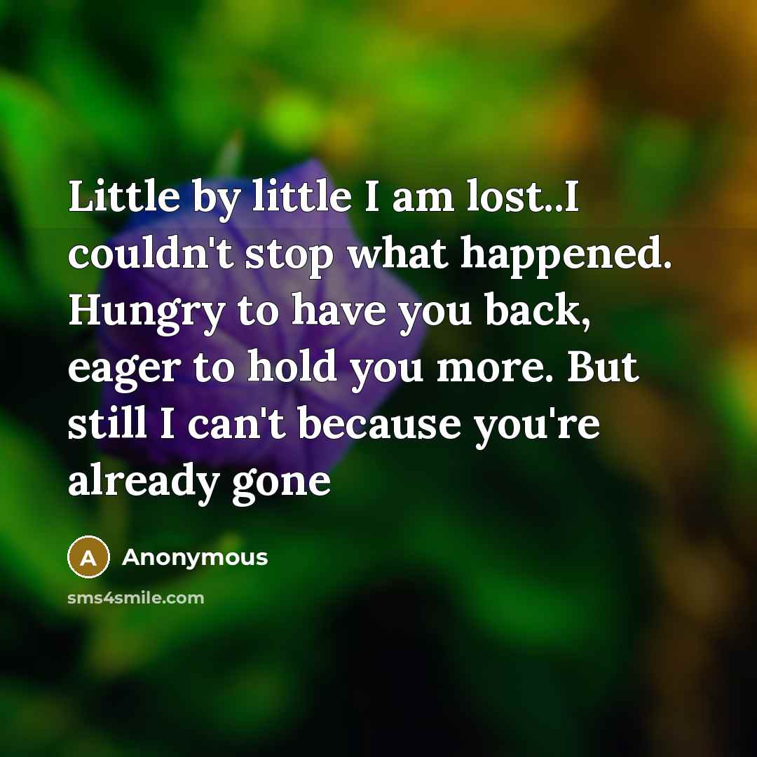 “Little by little I am lost..I couldn't stop what happened. Hungry to have you back, eager to hold you more. But still I can't because you're already gone” quote by Anonymous
