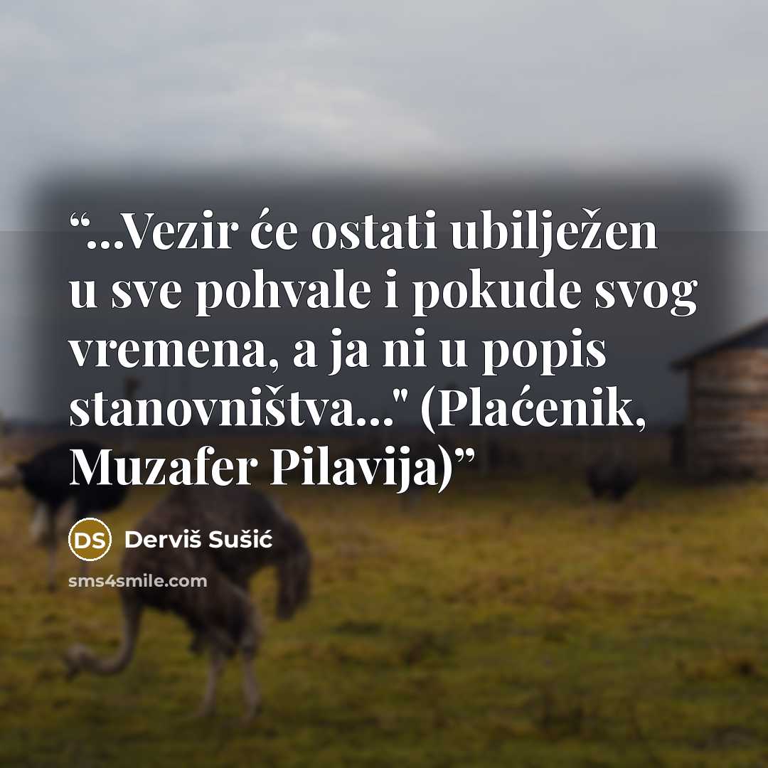 “...Vezir će ostati ubilježen u sve pohvale i pokude svog vremena, a ja ni u popis stanovništva..." (Plaćenik, Muzafer Pilavija)” quote by Derviš Sušić