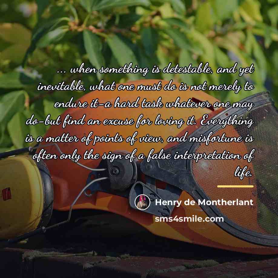“... when something is detestable, and yet inevitable, what one…” quote by Henry de Montherlant
