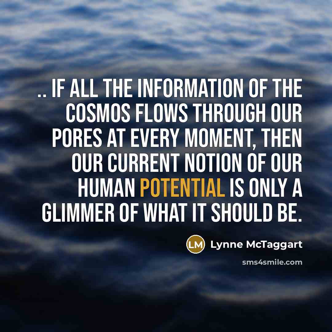 “.. if all the information of the cosmos flows through…” quote by Lynne McTaggart