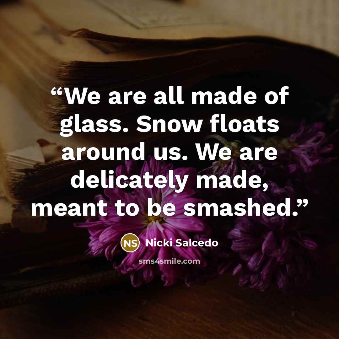 “We are all made of glass. Snow floats around us. We are delicately made, meant to be smashed.” quote by Nicki Salcedo