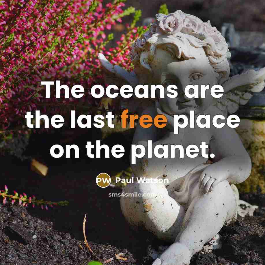 “The oceans are the last free place on the planet.…” quote by Paul Watson