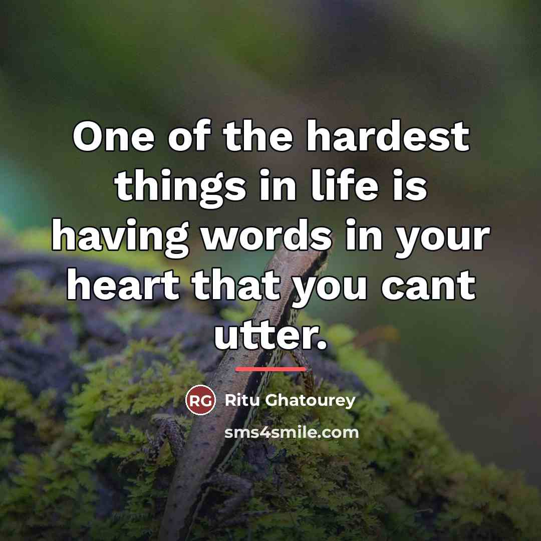 “One of the hardest things in life is having words…” quote by Ritu Ghatourey