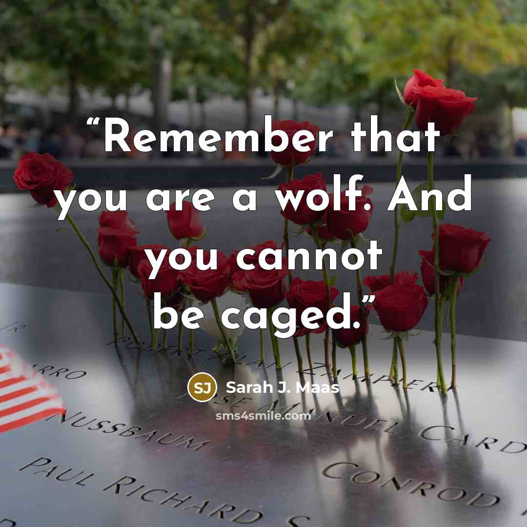 “Remember that you are a wolf. And you cannot be caged.” quote by Sarah J. Maas