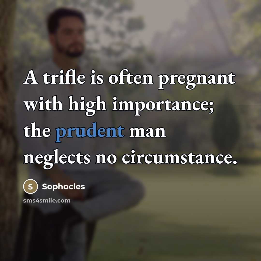 “A trifle is often pregnant with high importance; the prudent…” quote by Sophocles