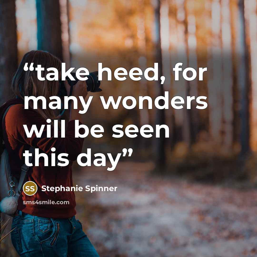 “take heed, for many wonders will be seen this day” quote by Stephanie Spinner