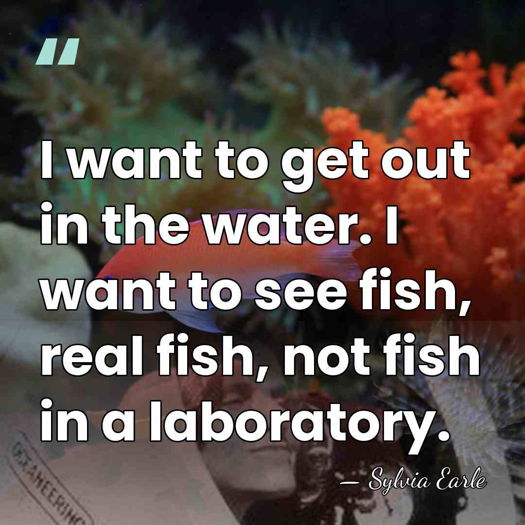 I want to get out in the water. I want to see&hellip; - Sylvia Earle