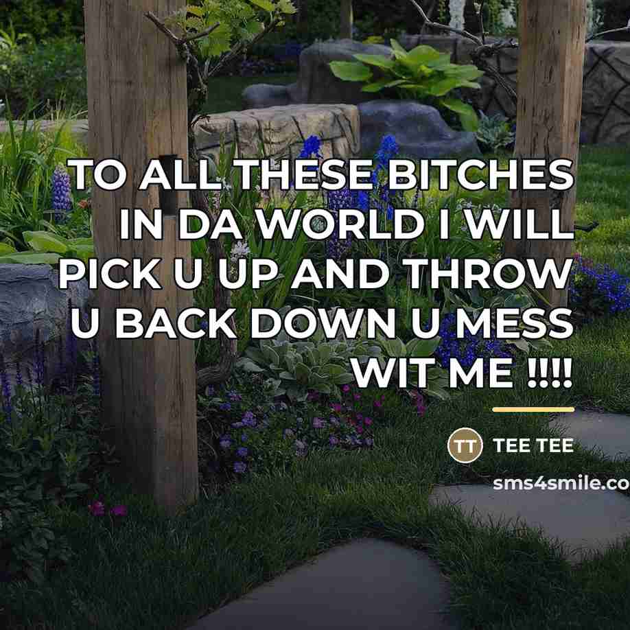 “TO ALL THESE BITCHES IN DA WORLD I WILL PICK…” quote by Anonymous