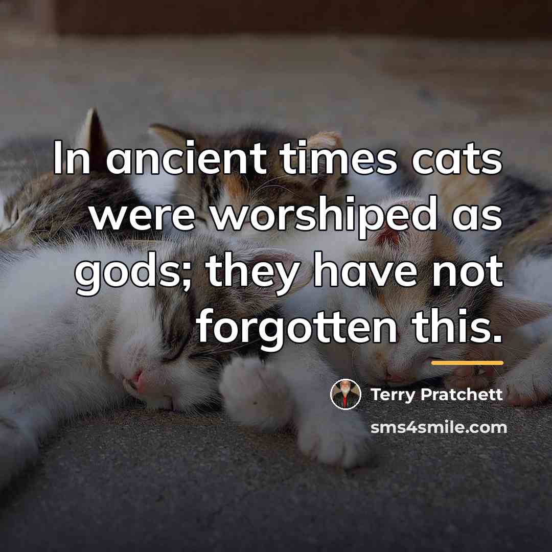 “In ancient times cats were worshiped as gods; they have…” quote by Terry Pratchett