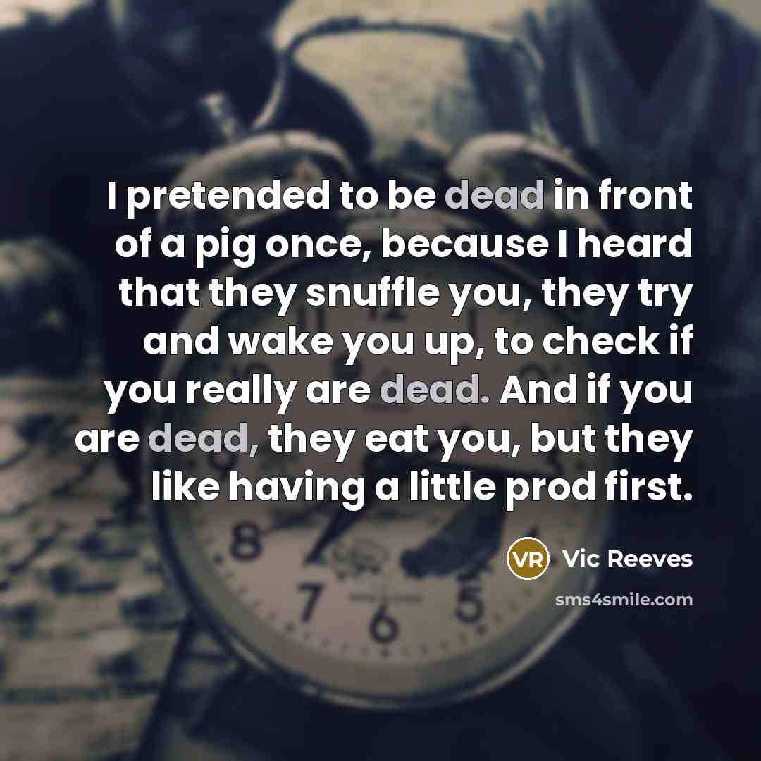 “I pretended to be dead in front of a pig…” quote by Vic Reeves