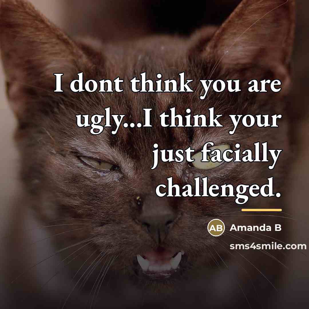 “I dont think you are ugly...I think your just facially…” quote by Anonymous