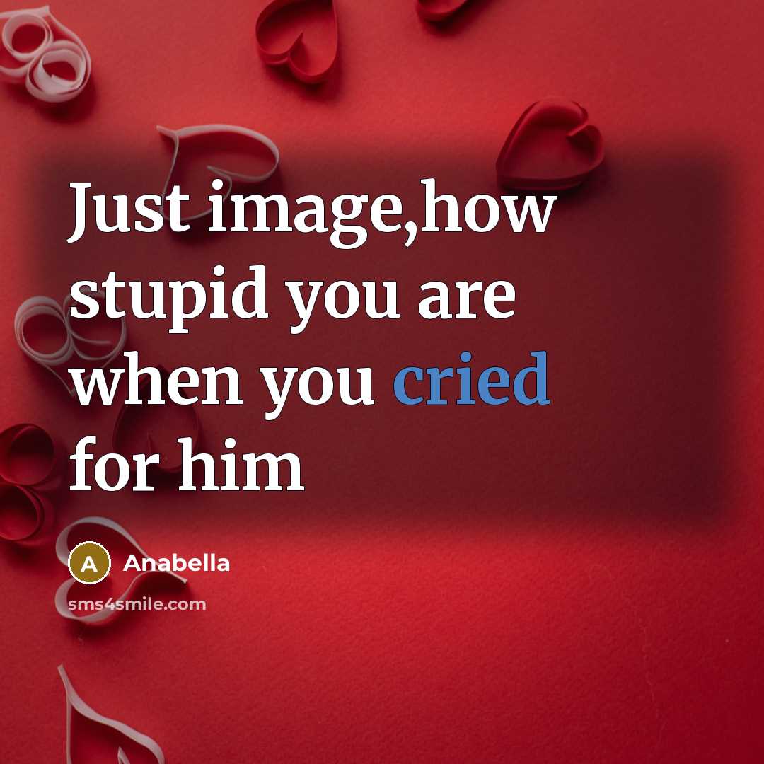 “Just image,how stupid you are when you cried for him” quote by Anabella