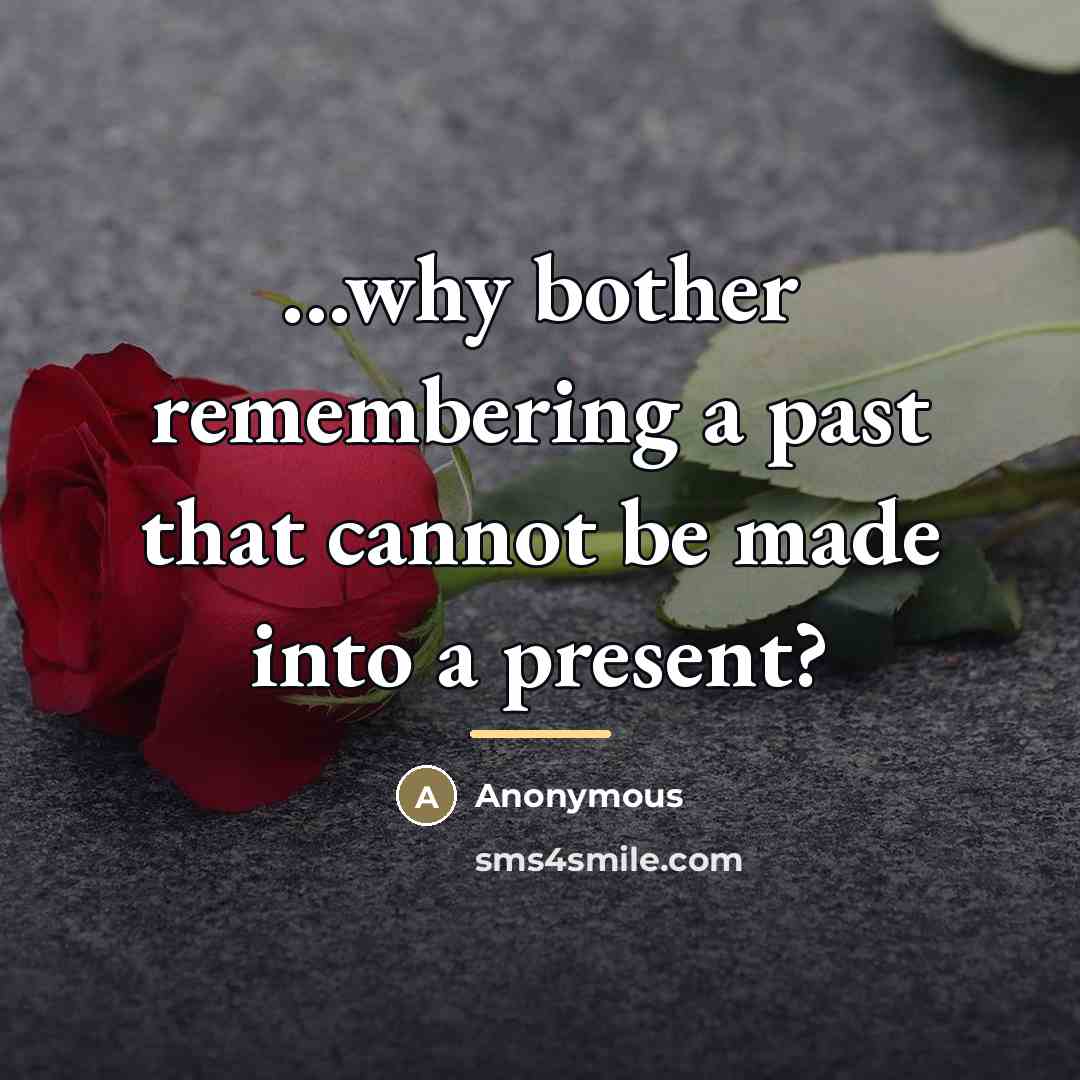 “...why bother remembering a past that cannot be made into…” quote by Anonymous
